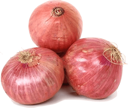 Onion PNG HD