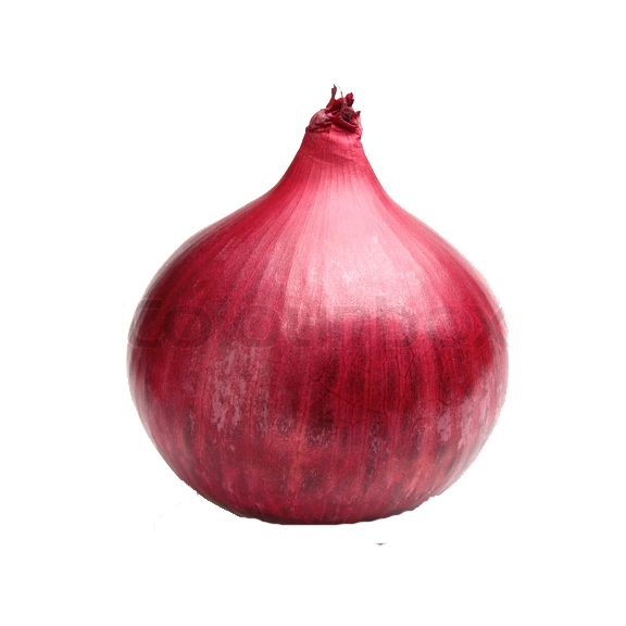 Onion PNG Image in Transparent pngteam.com