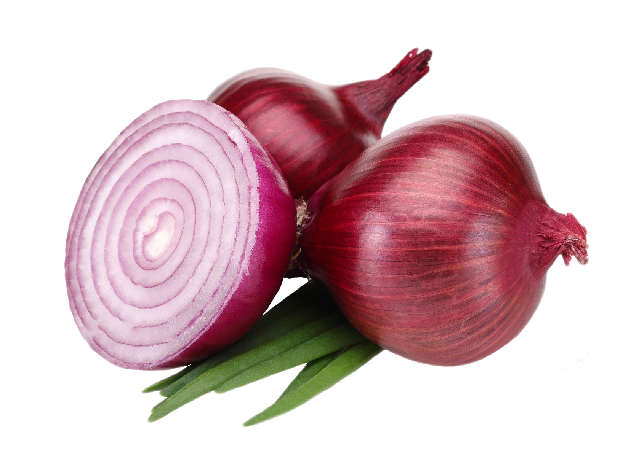 Onion PNG HQ pngteam.com