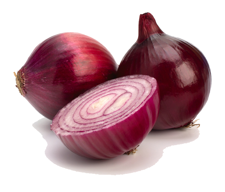 Red Onion PNG HD Image pngteam.com