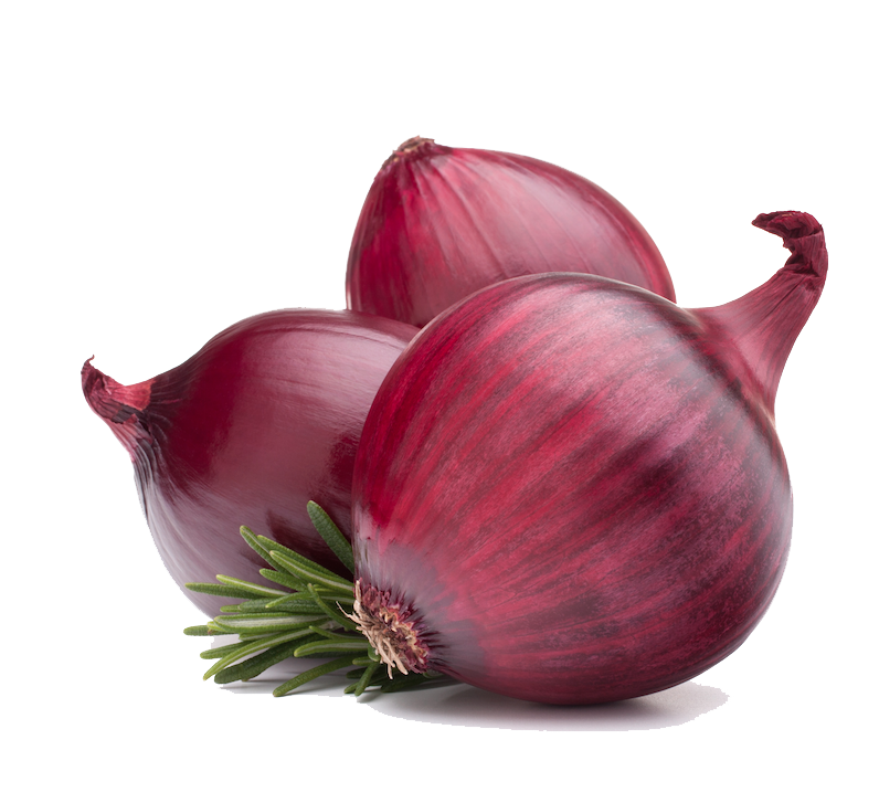 Purple Onions PNG Image in High Definition pngteam.com