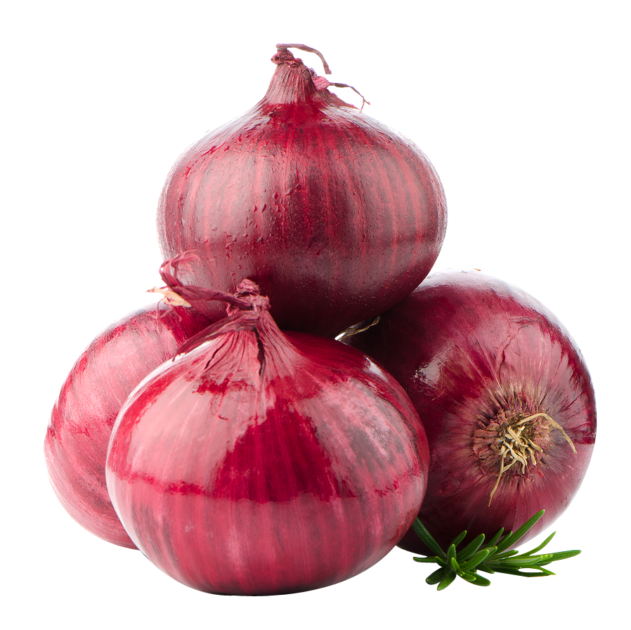 Onion PNG Image in Transparent pngteam.com