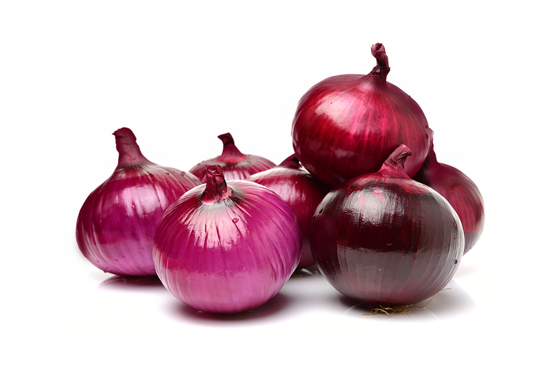 Purple and Red Onion PNG Image in High Definition pngteam.com