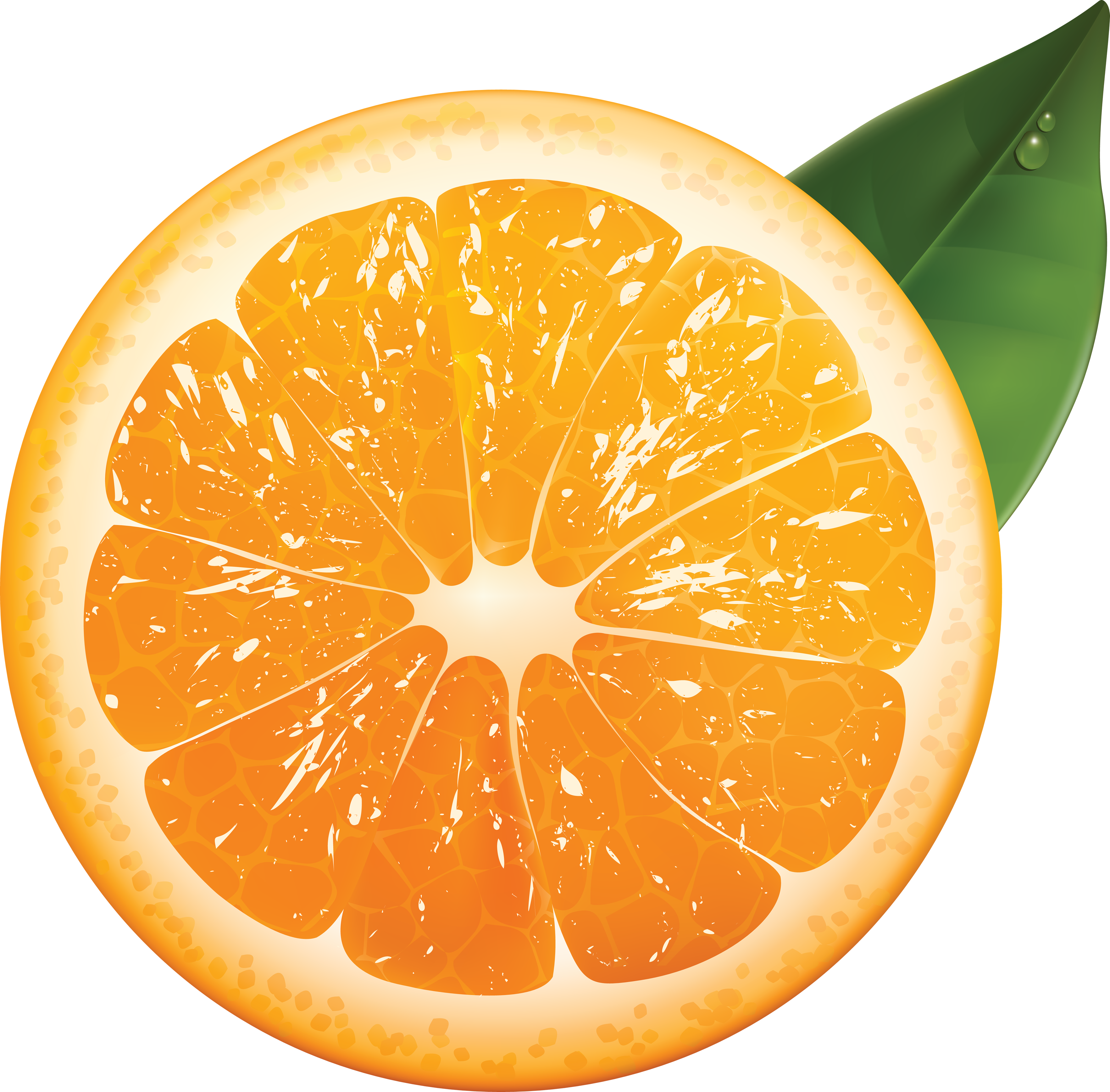 Half of an Orange PNG High Definition Photo Image