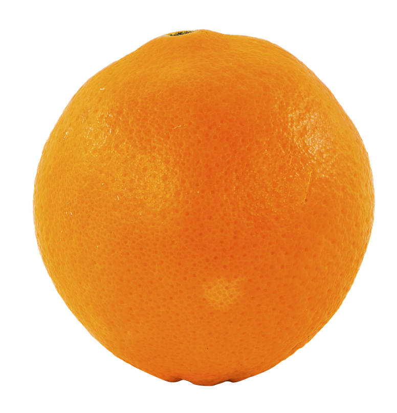 Orange PNG Image in High Definition pngteam.com