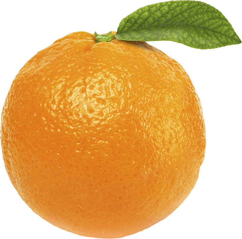 Orange PNG Image in High Definition