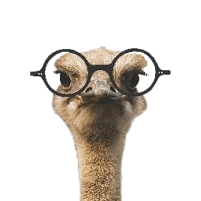Ostrich PNG File pngteam.com