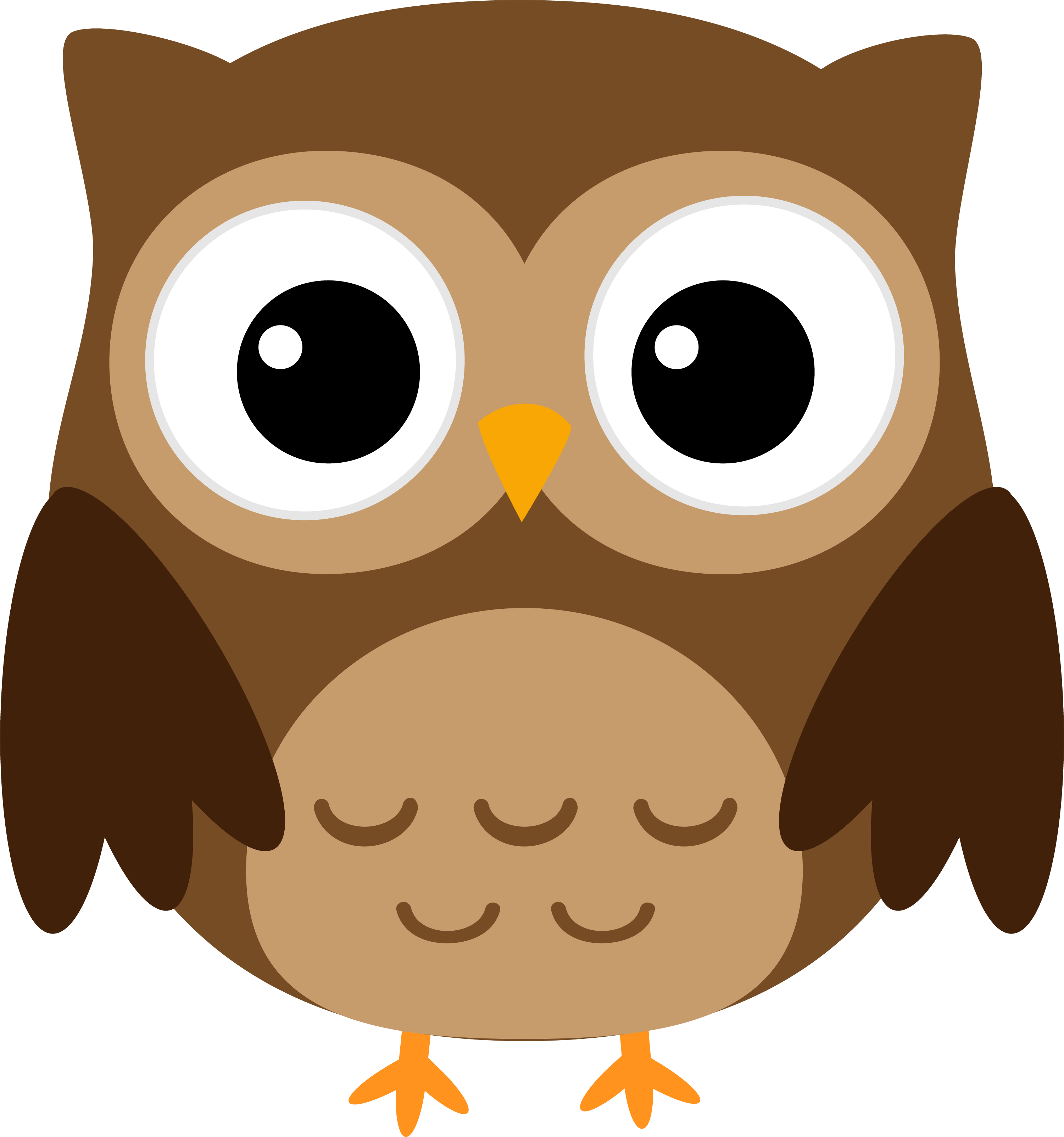 Owl PNG Images - Owl Png