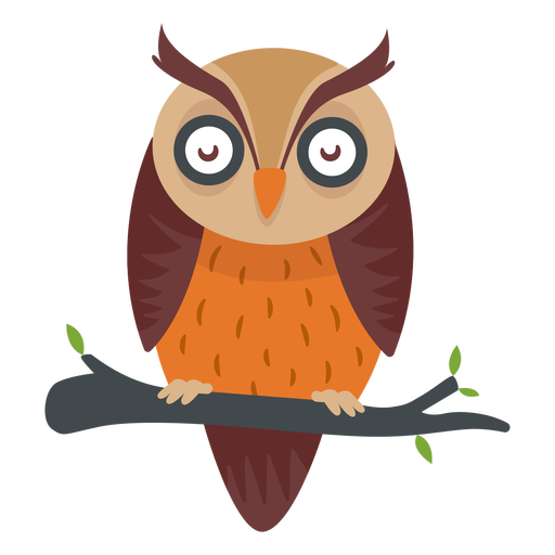 Owl PNG Images - Owl Png