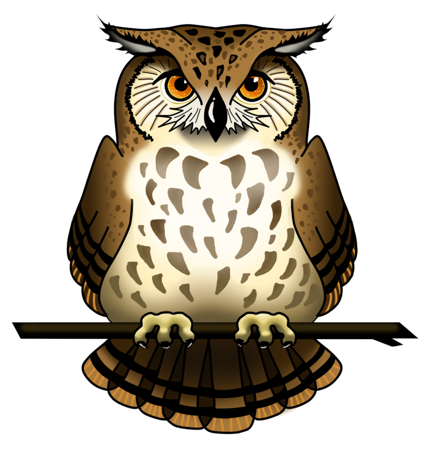 Owl PNG Photo - Owl Png