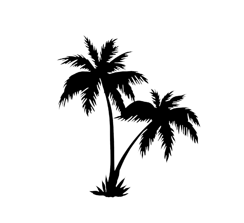 Black Palm Tree PNG Image in Transparent