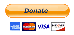 Paypal Donate Button PNG HD pngteam.com