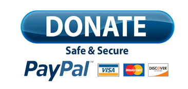 Paypal Donate Button PNG Photo pngteam.com