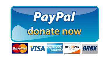 Paypal Donate Button PNG Picture pngteam.com