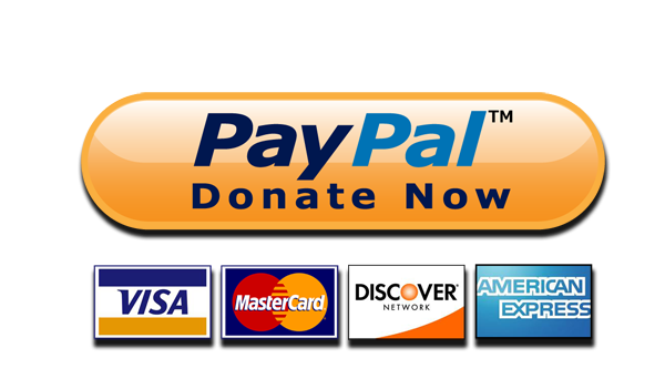 Paypal Donate Button PNG