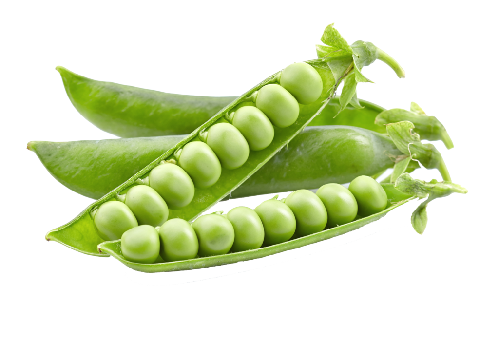 Pea PNG