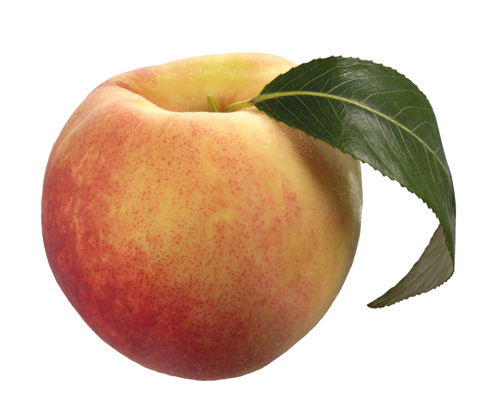 Peach PNG - Peach Png