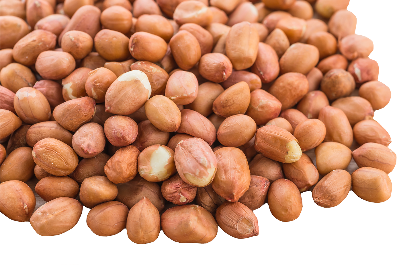 Peanut PNG in Transparent - Peanut Png