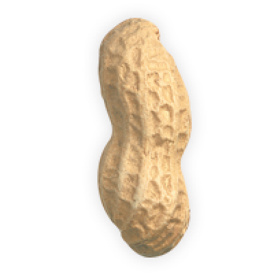 Peanut PNG Best Image - Peanut Png