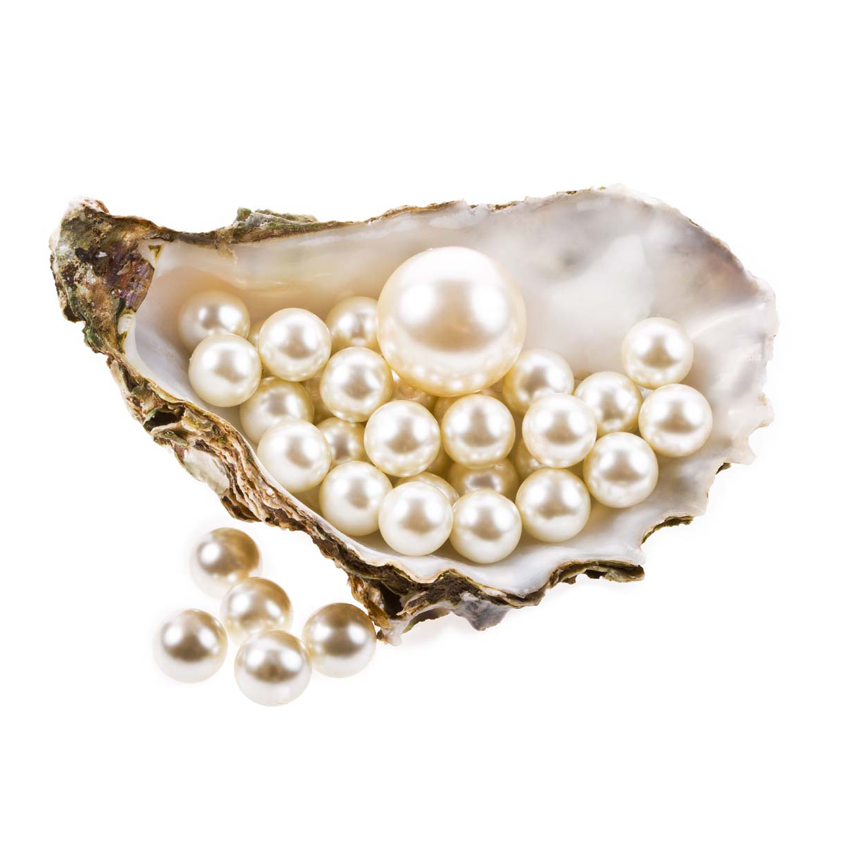 Pearls PNG HD Image