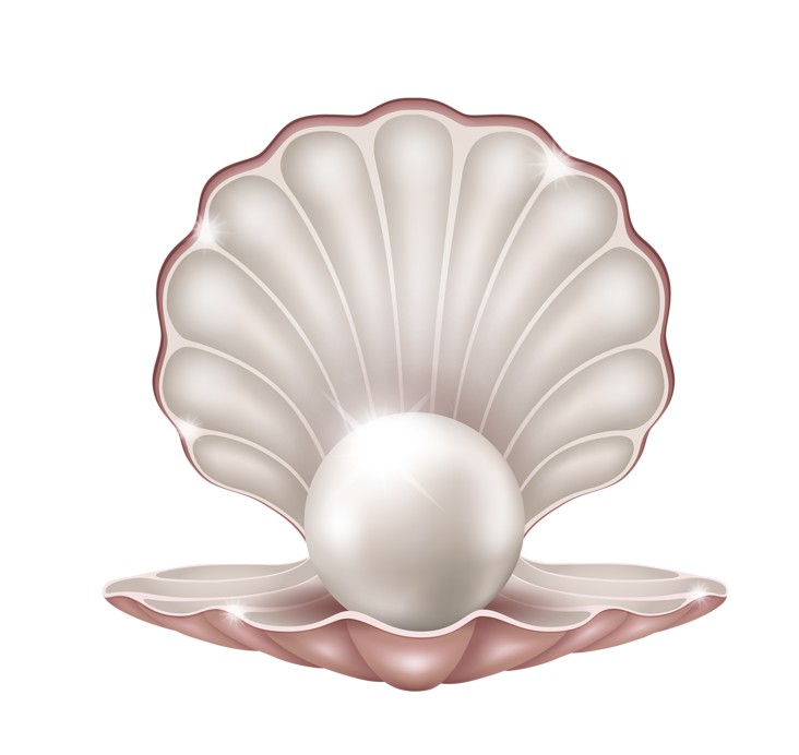 Pearl and Shell PNG HD pngteam.com
