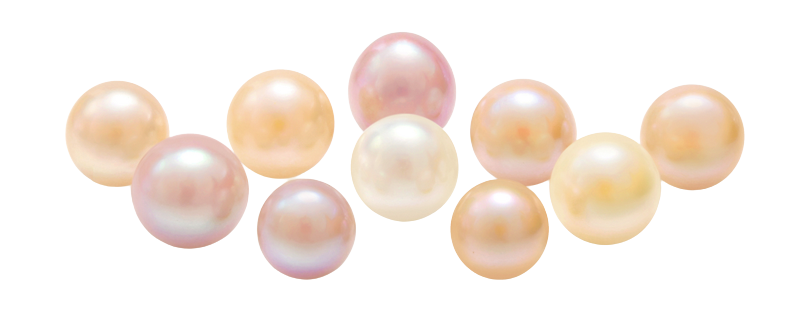 Pearls PNG Images Free Download - Pearl Png