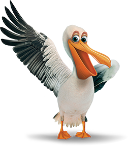 Pelican PNG Clipart HD File pngteam.com