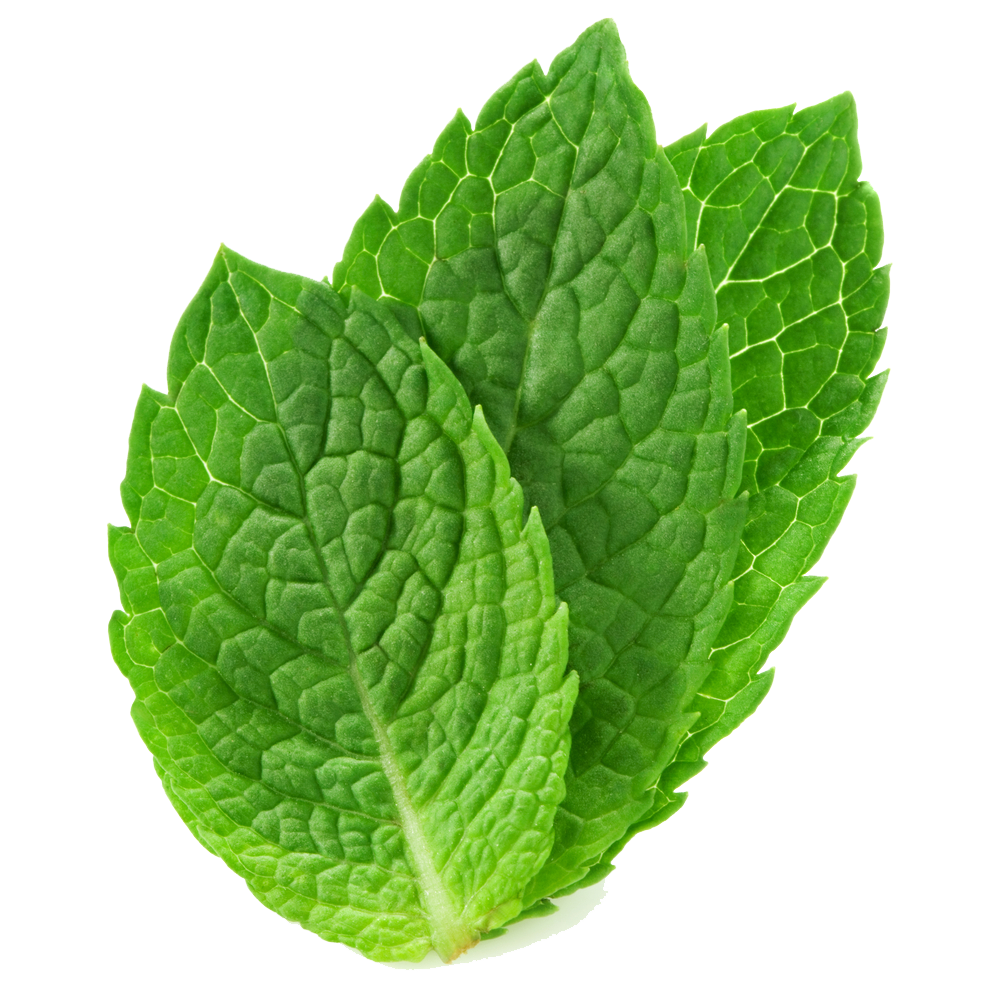 Peppermint PNG - Peppermint Png