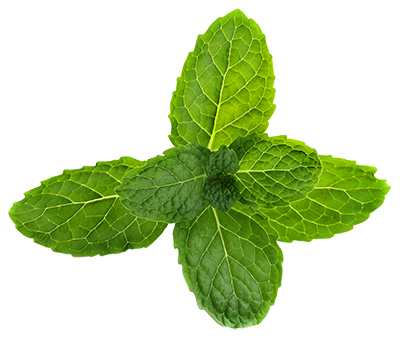 Peppermint PNG