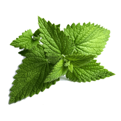 Peppermint PNG HD File - Peppermint Png