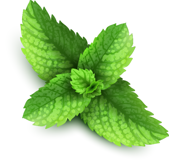 Peppermint PNG HQ - Peppermint Png