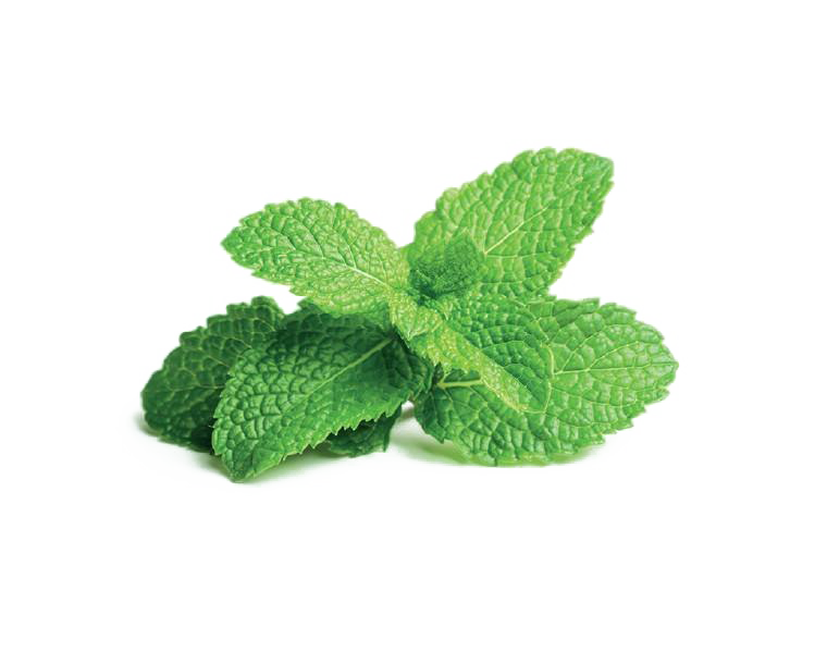 Peppermint PNG HD and Transparent - Peppermint Png
