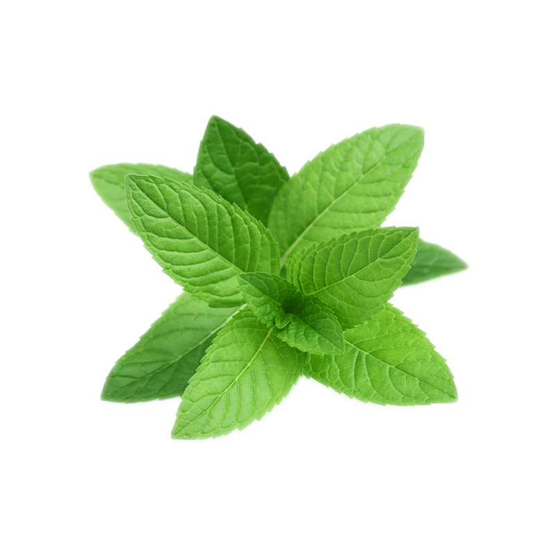 Peppermint PNG HD - Peppermint Png