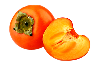 Persimmon PNG in Transparent pngteam.com