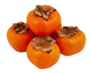 Persimmon PNG High Definition Photo Image pngteam.com