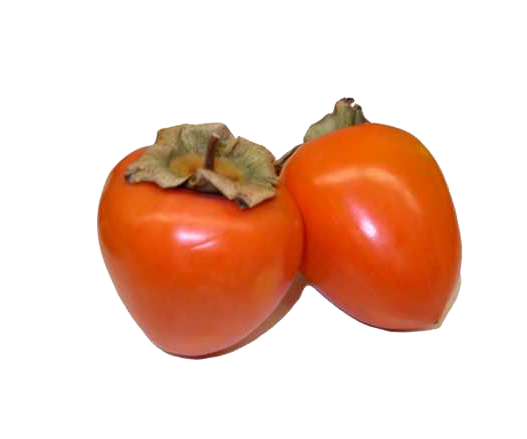 Orange Persimmon PNG Image in Transparent pngteam.com