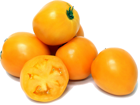 Persimmon PNG HD and Transparent pngteam.com