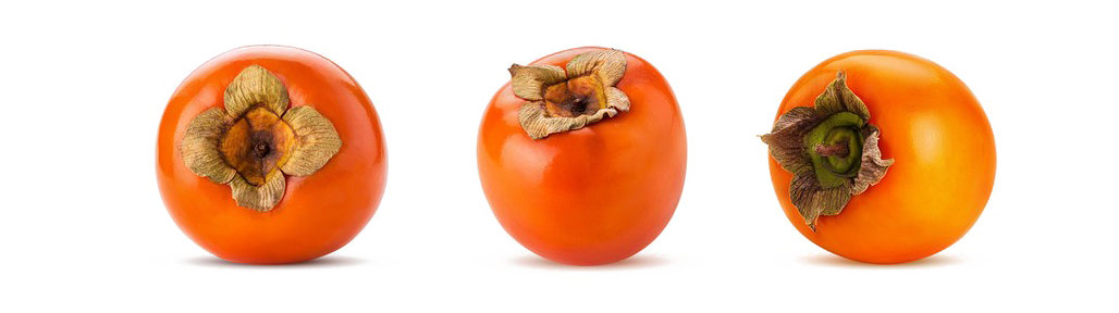 Persimmon PNG Picture pngteam.com