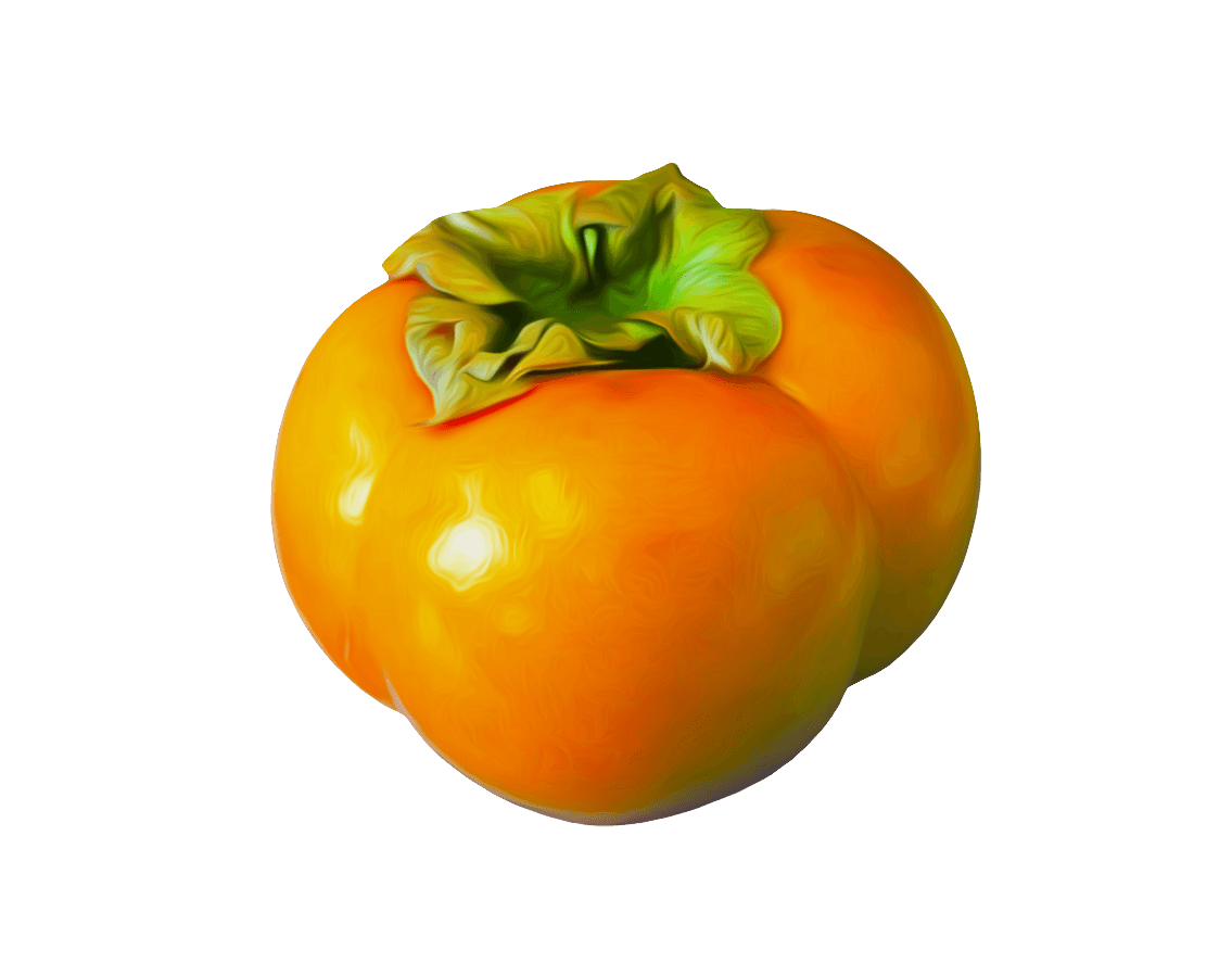 Persimmon PNG HD pngteam.com