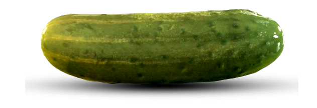 Pickle PNG High Definition Photo Image - Pickle Png