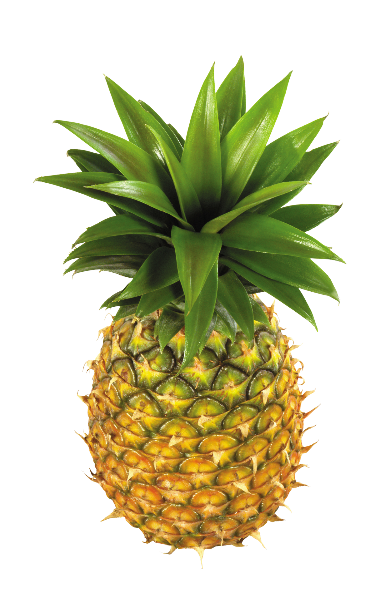 Pineapple PNG Photo