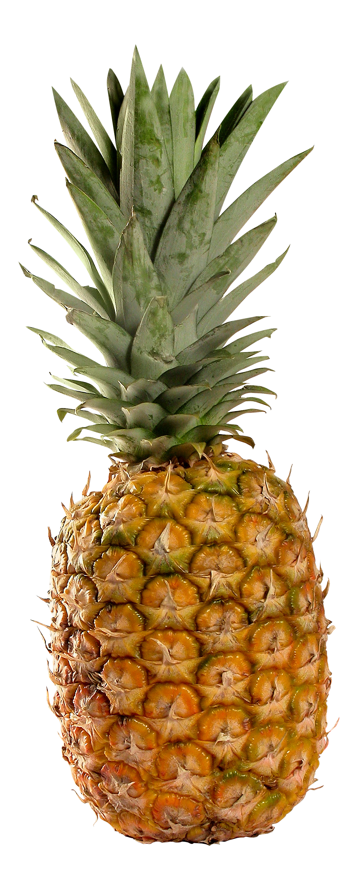 Pineapple PNG HD pngteam.com