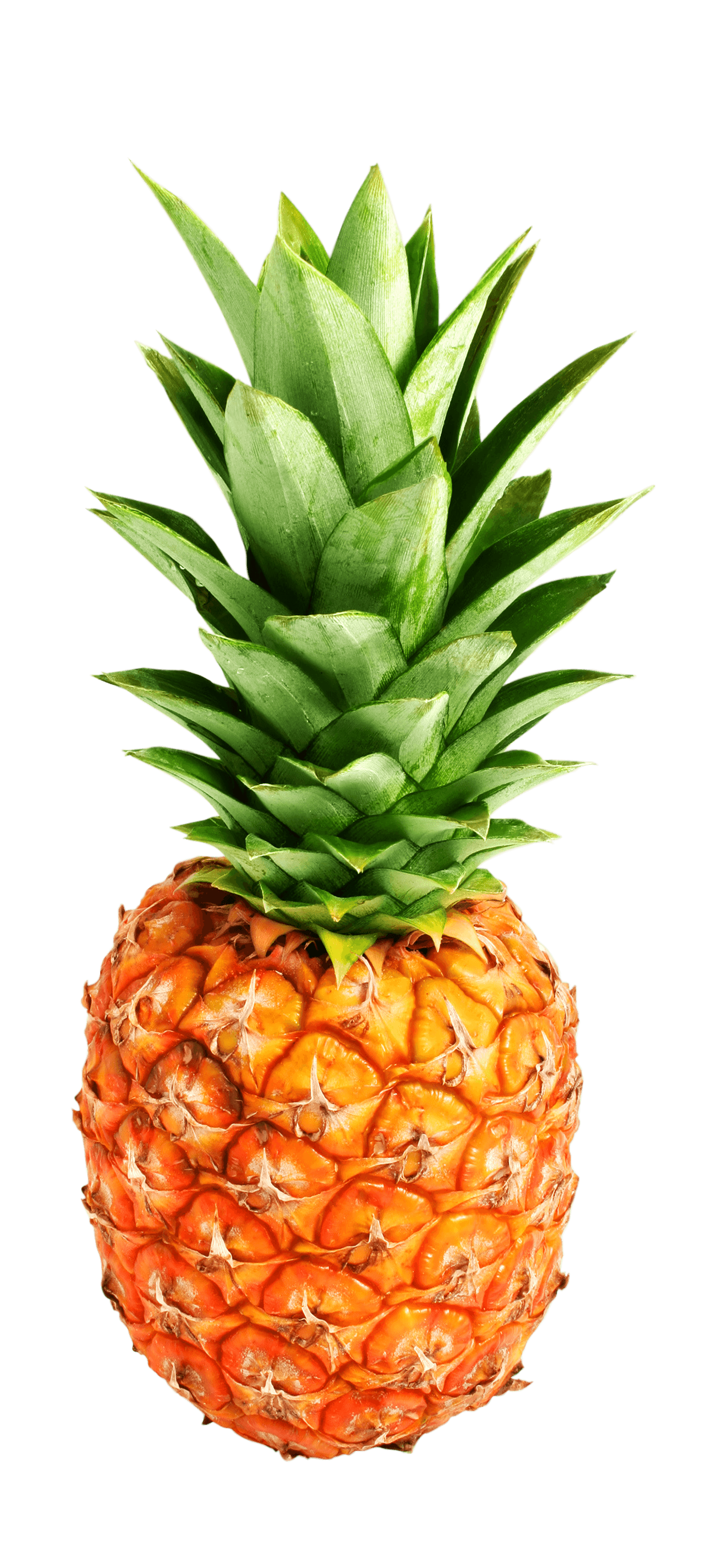 Pineapple PNG pngteam.com