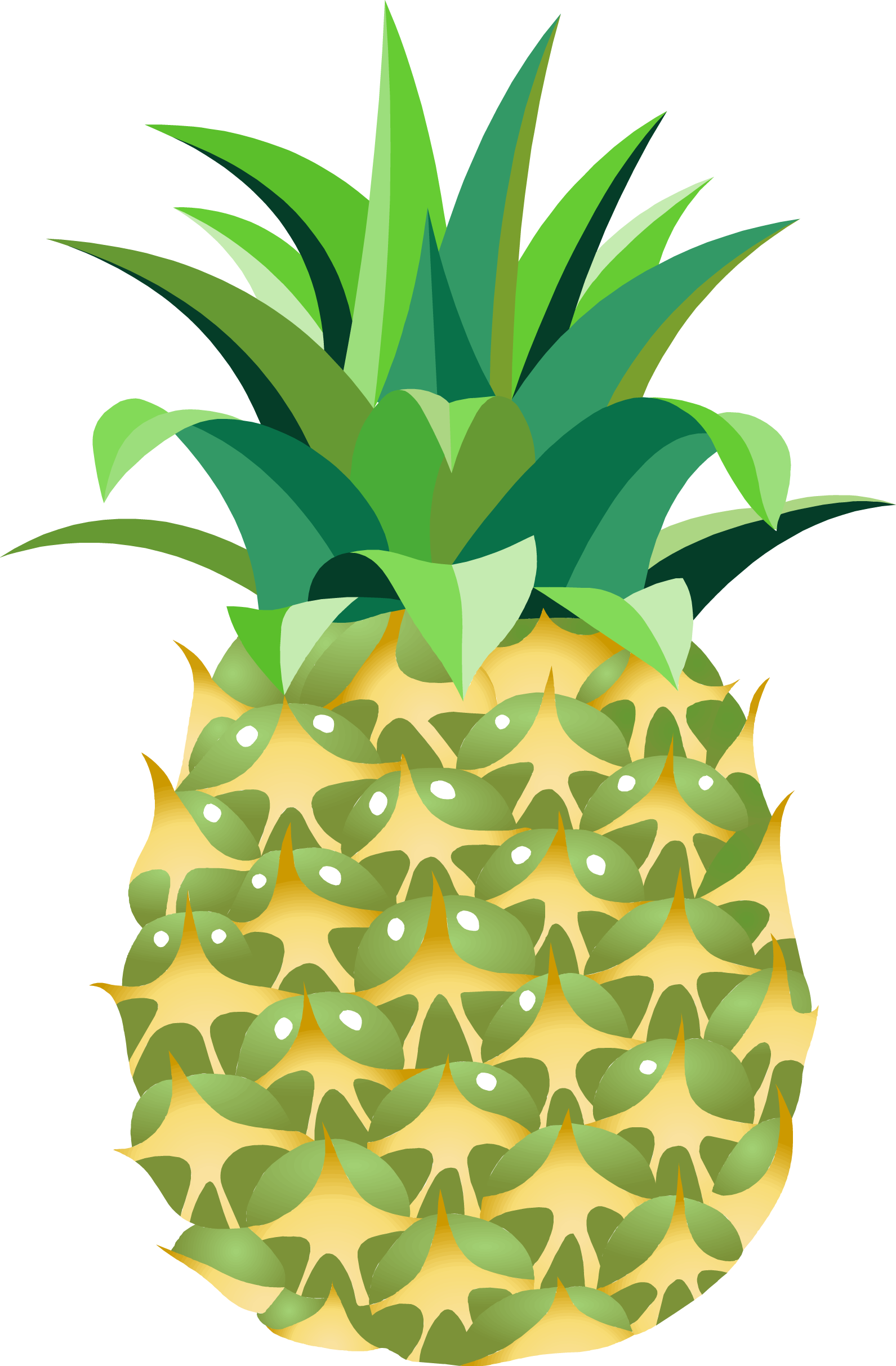 Pineapple PNG Image in Transparent