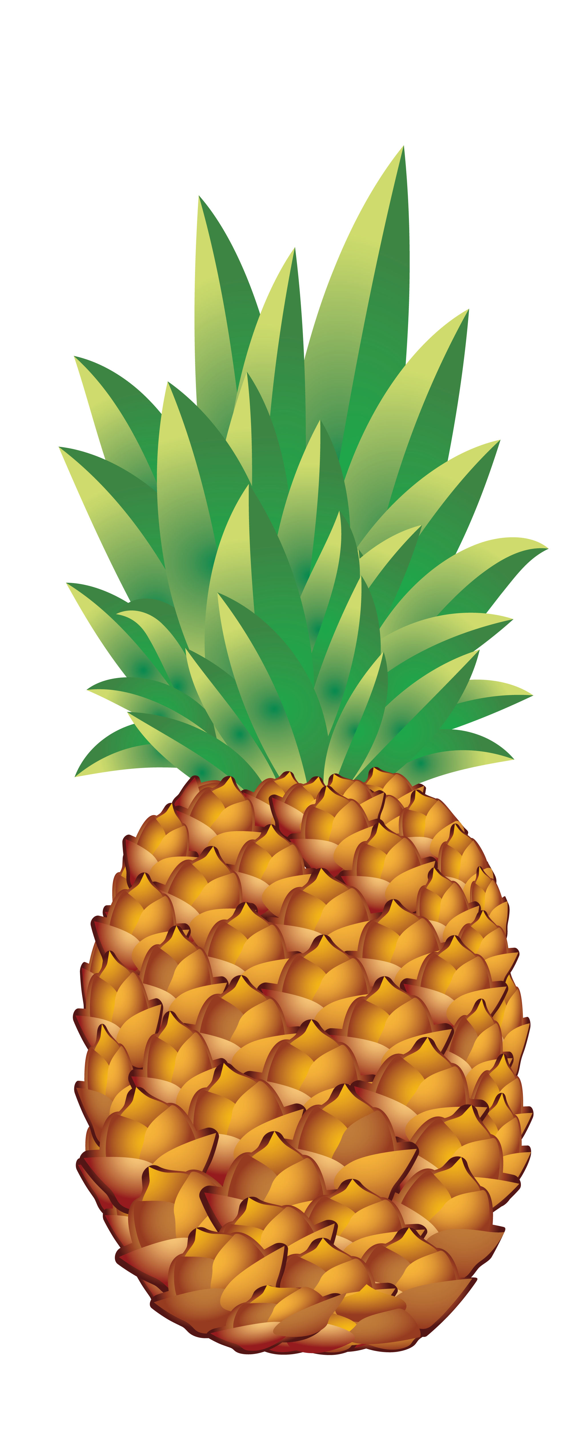 Pineapple Icon PNG Image in High Definition pngteam.com