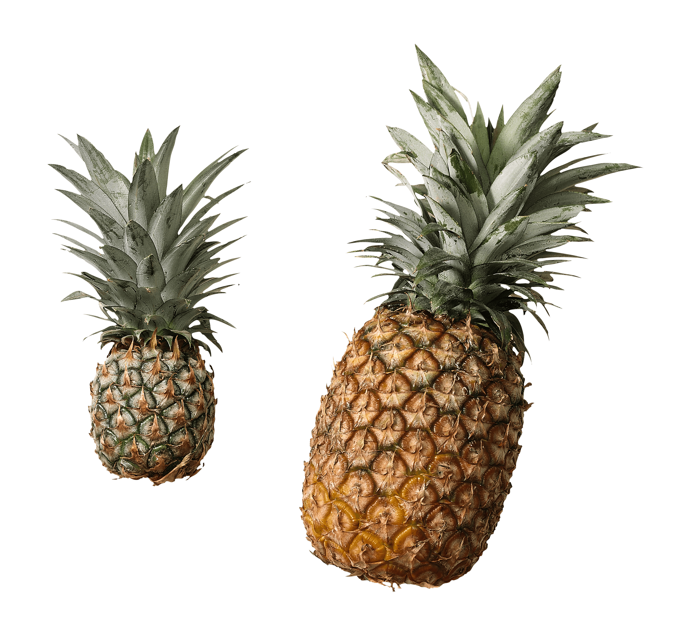 Pineapple PNG Image in Transparent pngteam.com