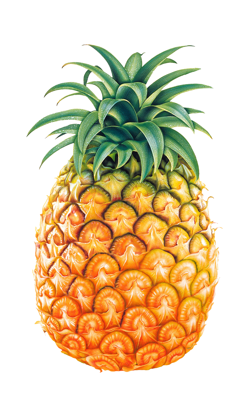 Pineapple PNG HD File pngteam.com