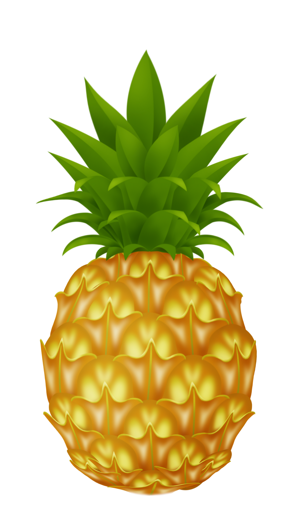 Pineapple PNG Photo