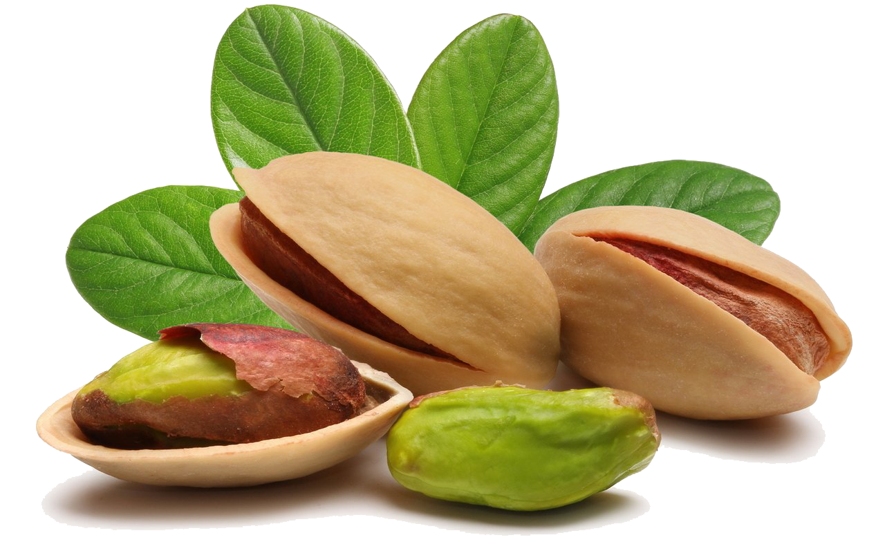 Pistachio PNG Image in High Definition