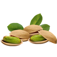 Pistachio PNG HD and Transparent pngteam.com